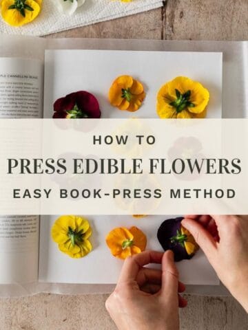 An overhead scene on a wood surface of white female hands placing pansies face-down on printer paper inside of a large open book with a paper towel covered in extra edible flowers in the top left corner with an overlay of text saying "How To Press Edible Flowers Easy Book-Press Method."